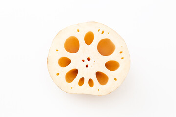 れんこんの断面　白バック