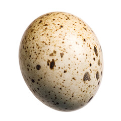 Speckled bird egg on white background isolated on a transparent background speckled egg