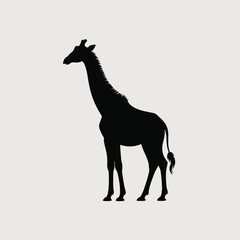 Obraz premium Black giraffe silhouette standing on a light gray background animal wildlife