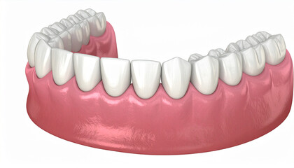 Obraz premium White teeth set in pink gums dental anatomy