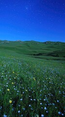 Nighttime meadow ablaze with wildflowers under a starry sky.  Rolling hills rise in the background