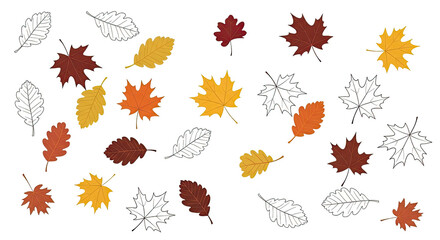 Various colorful and outline style autumn leaves scattered on a transparent background