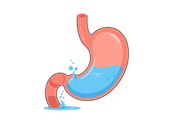 Fototapeta premium Illustrating gastric distress and digestive system vulnerabilities with fluid leaks showing internal organ functionality and issues