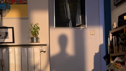 In slow motion, the shadow of a person lifting dumbbells is cast on a wall, illuminated by warm, golden-hour sunlight. A motivational scene of a home workout and a healthy lifestyle.