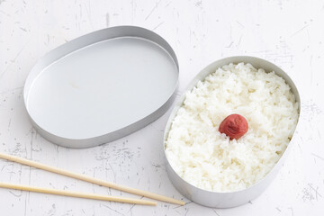 日の丸弁当　Japanese food