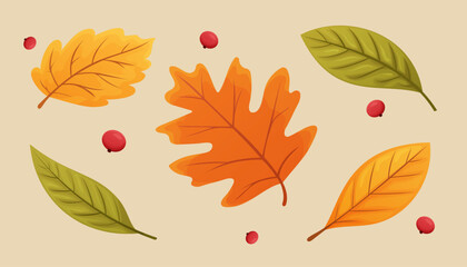 Set of colorful autumn leaves isolated on light background, autumn design