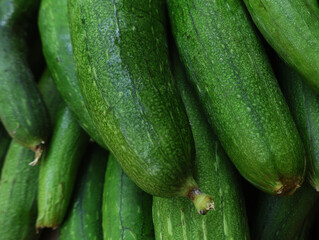 Fresh organic ridge gourd (tori) with natural green skin,  close up shot showing texture and freshness, healthy seasonal vegetable rich in nutrients, perfect for food, agriculture and market concept