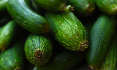 Fresh organic ridge gourd (tori) with natural green skin,  close up shot showing texture and freshness, healthy seasonal vegetable rich in nutrients, perfect for food, agriculture and market concept