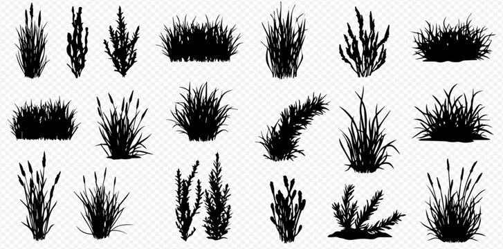 A diverse collection of black grass, bush, and plant silhouettes in various shapes and sizes, isolated on a transparent background.