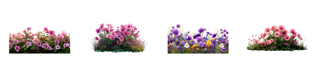 Fototapeta premium Assortment of flowering plants with pink and purple blooms on transparent background, cut out