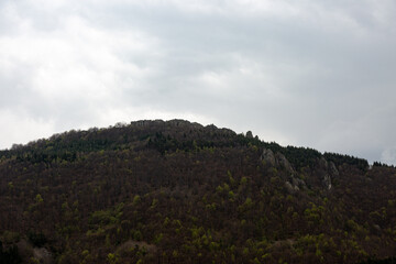 Naklejka premium Forest on the hill and cloudy sky