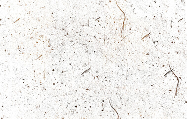Dust Particle Texture for Atmospheric Effect and Grunge Overlay with Scattered Debris and Fine Grain Pattern on Transparent Background