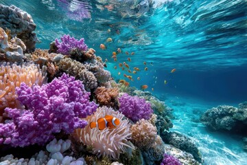 Vibrant Coral Reef with Clownfish and Tropical Fish