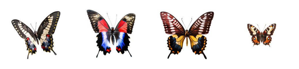 Fototapeta premium Four assorted colorful butterfly wings displayed isolated on transparent background, cut out