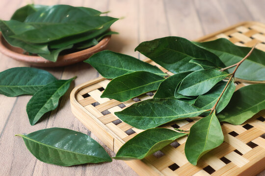 A bunch of daun salam, or Indonesian bay leaves, rests on a wooden table. Widely used in traditional cooking, these aromatic leaves lend subtle depth to savory dishes.