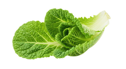 Fresh green leafy vegetable healthy food.