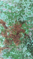 A close-up of textured, rusted metal with green and turquoise patina, perfect for industrial backgrounds, digital art, or design references. The organic, weathered look brings vintage charm and gritty
