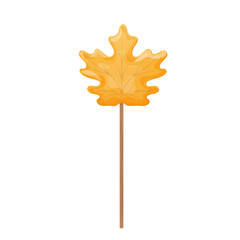 Maple syrup candy on stick, Chupa Chups. Canadian traditional dessert. Vector stock illustration. Isolated on a white background.