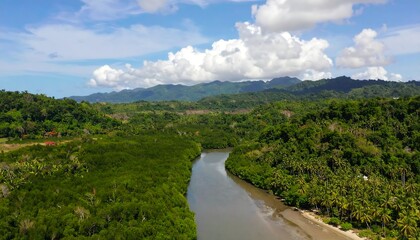 Scenic aerial view of a river flowing through lush green tropical forest and mountains