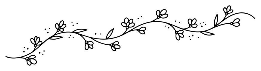 delicate floral vine divider border line art vector © Aisha Kudorova