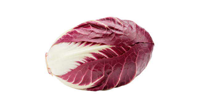 Radicchio head red and white leaves fresh vegetable.