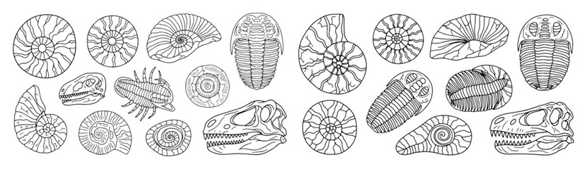 paleontology fossils and dinosaur skulls doodle vector set © Aisha Kudorova