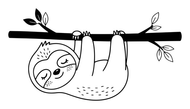 cute sloth hanging on a branch cartoon coloring page