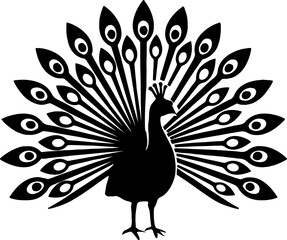 Fototapeta premium Peacock Standing with Open Feathers =- Decorative Bird Silhouette With White Background 