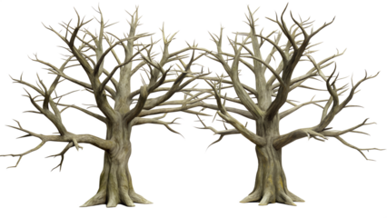3d illustration of two bare deciduous trees with intricate branches, isolated on transparent background