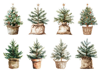 PNG Rustic miniature Christmas trees collection, element set on transparent background