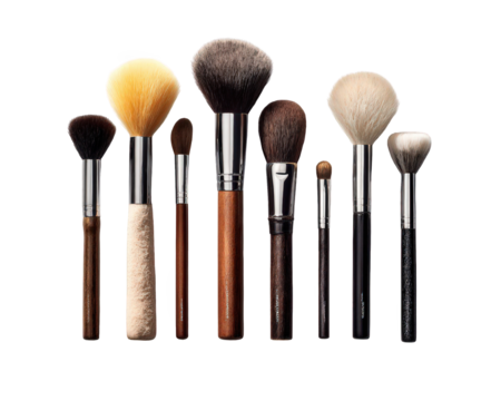 Collection of Makeup Brushes with Various Sizes and Bristle Types