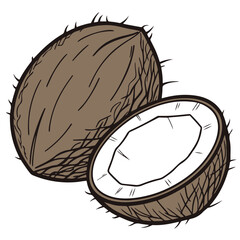 Coconut Vector Illustration | Whole and Half Coconut Drawing | Tropical Exotic Fruit Design