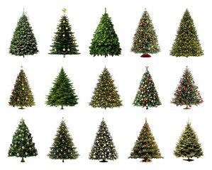 PNG Variety of decorated Christmas trees, element set on transparent background