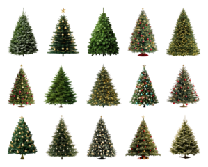 PNG Variety of decorated Christmas trees, element set on transparent background