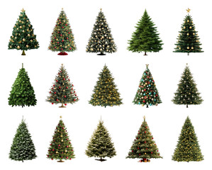 PNG Diverse festive Christmas trees collection, element set on transparent background