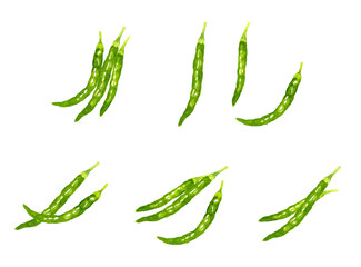 青唐辛子のセット　野菜・薬味の手描き水彩イラスト素材