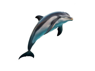 Fototapeta premium dolphin isolated on white background ai generated image 