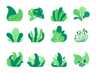 collection of leaves and grasses for decoration and elements