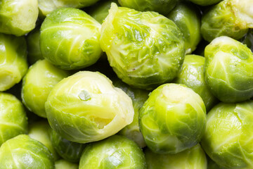 Fresh baby sprouts peeled background backdrop. Grow your own concept.