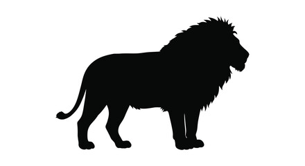 a majestic lion silhouette standing proudly with mane flowing © MIRAJ02