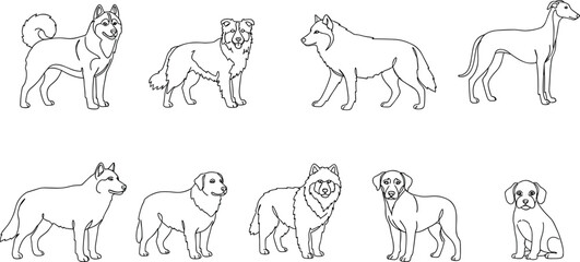 Dog breeds line art, outline drawing pets, domestic animals vector set, puppy illustration, canine collection, cad drawing flat vector illustration