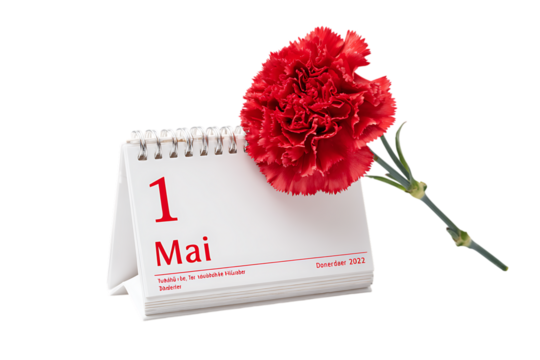1st May date, Labor Day or May Day concept with red carnation flower.