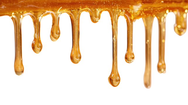 Realistic Human Skull Model for Educational and Artistic Use