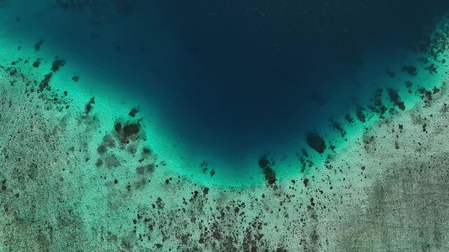 Aerial View nearby Mbambanga Island with two Dolphins swimming, Solomon Islands