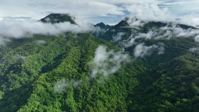 Aerial views through the clouds over the Kolombangara Rainforest in the Solomon Islands