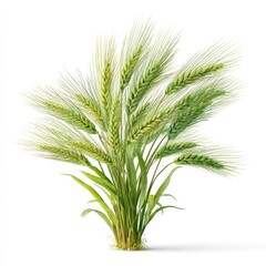 Fototapeta premium Lush Green Wheat Plant with Detailed Spikelets and Leaves