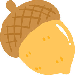 Acorn Illustration