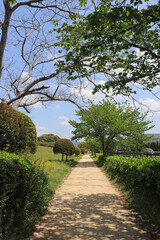 The traditional Japanese landscape, created by gardens in harmony with nature, gives off a mystical impression.