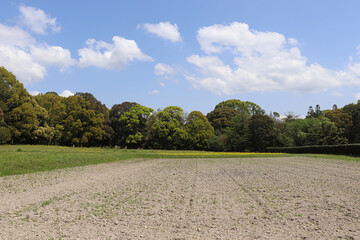 The traditional Japanese landscape, created by gardens in harmony with nature, gives off a mystical impression.