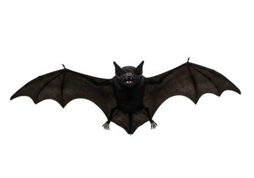 Majestic Bat in Flight A Powerful Symbol of Night on transparent background